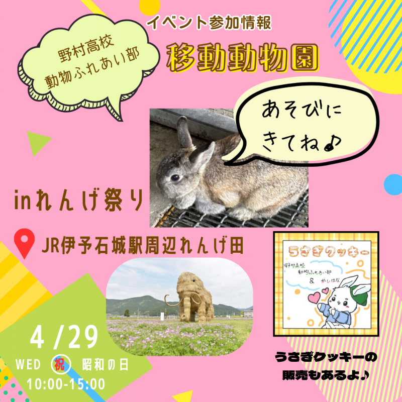 れんげ祭り (2)