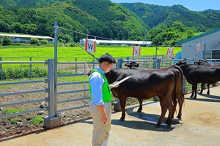IMG_4935