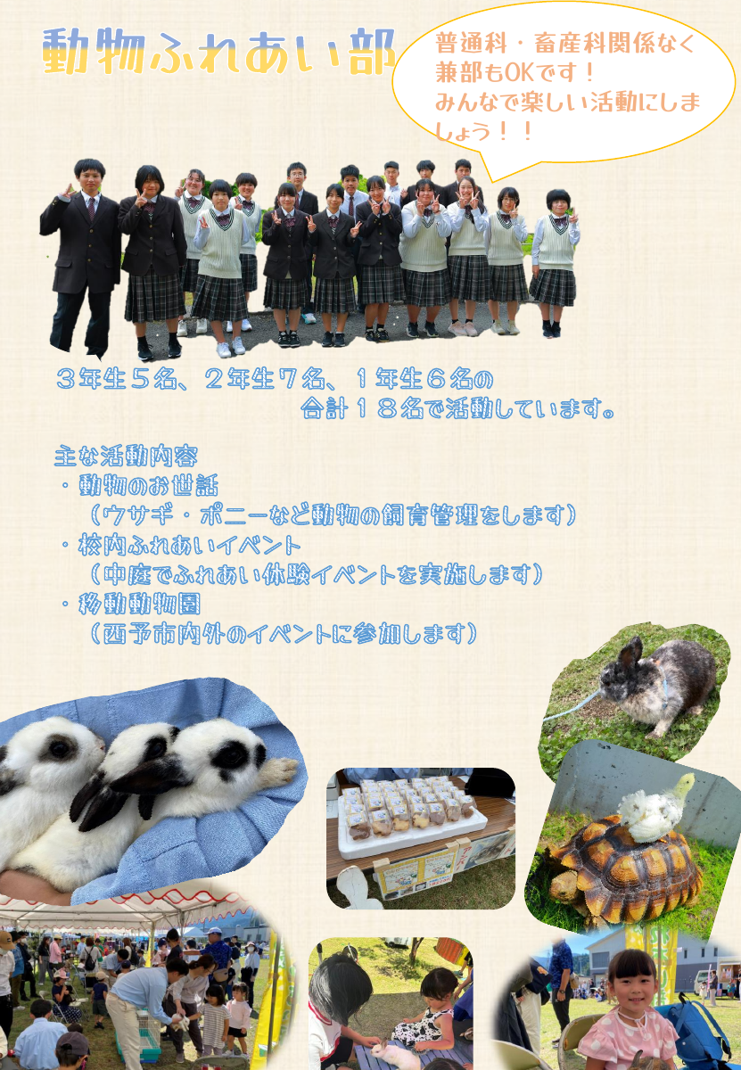 動物ふれあい部.pdfの1ページ目のサムネイル