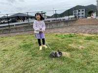 写真 2024-11-16 13 24 33