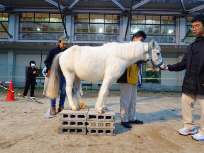 DSC_0000_BURST20251030171953869