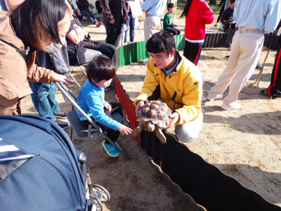 DSC_0000_BURST20251115101101433