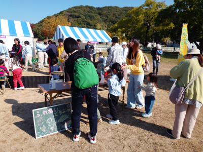 DSC_0001_BURST20251115103210198_COVER