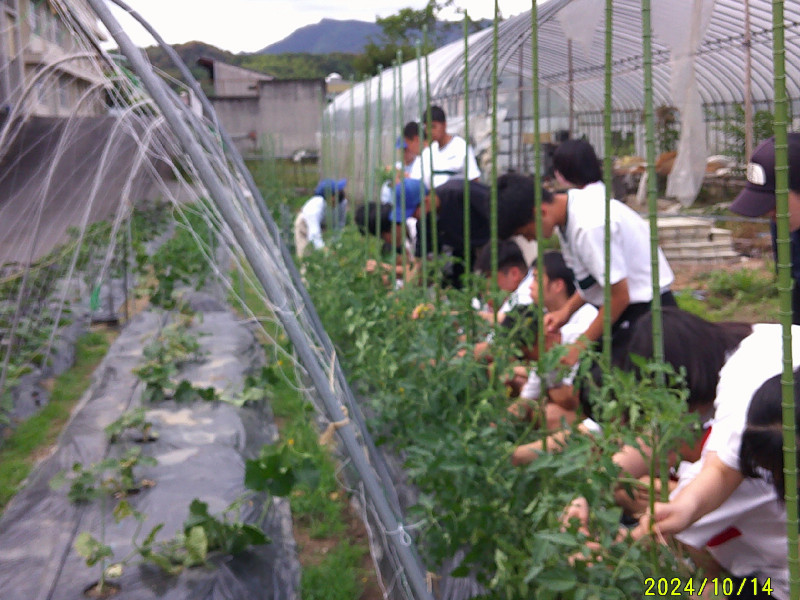 DSCF0038