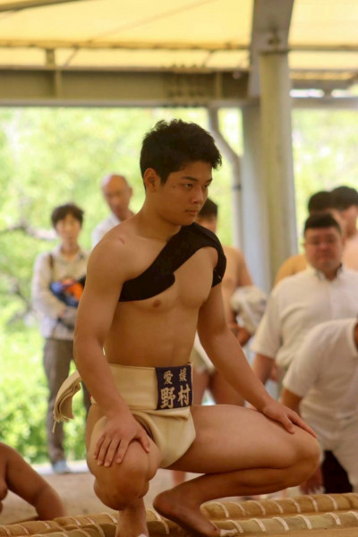 梢